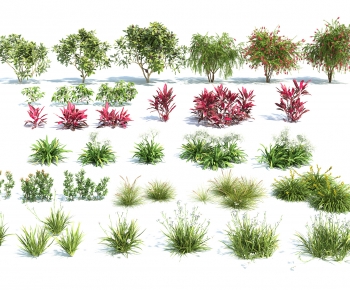 Modern Shrubbery-ID:603029016