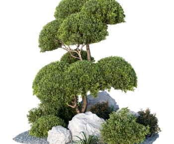 Modern Plant Pile-ID:347004893