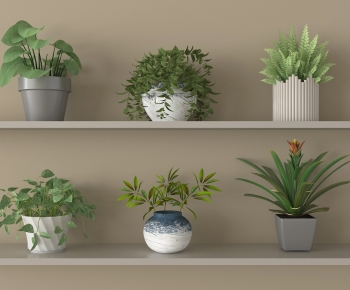 Modern Potted Green Plant-ID:659248114