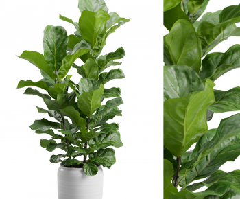 Modern Ground Green Plant Potted Plants-ID:314908038
