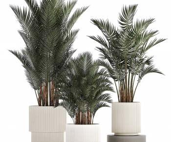 Modern Ground Green Plant Potted Plants-ID:178309922