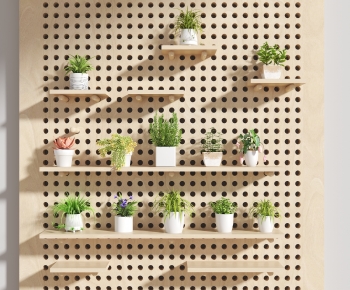 Modern Potted Green Plant-ID:802745107