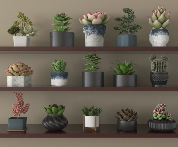 Modern Potted Green Plant-ID:870850098