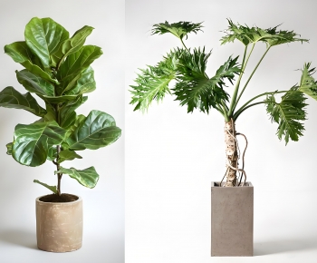 Modern Ground Green Plant Potted Plants-ID:711002114