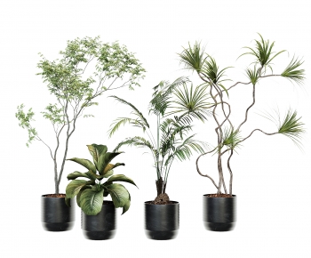Modern Ground Green Plant Potted Plants-ID:248822936