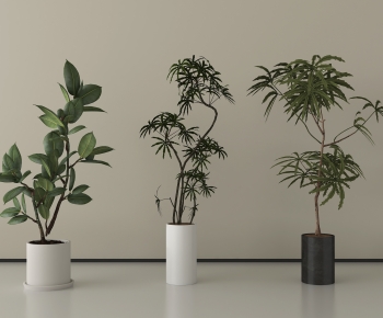 Modern Ground Green Plant Potted Plants-ID:808646929
