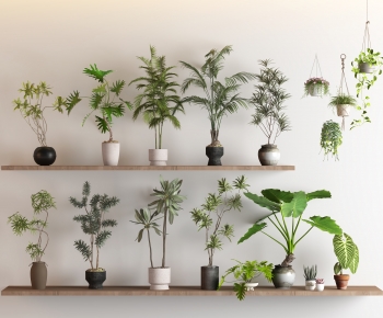 Modern Potted Green Plant-ID:630501993