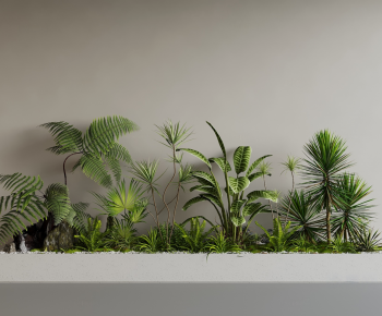 Modern Plant Landscaping-ID:991552111