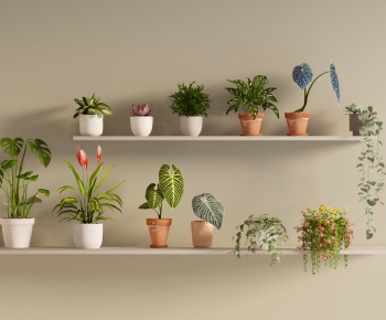 Modern Desktop Plant-ID:351706031