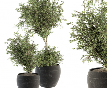 Modern Ground Green Plant Potted Plants-ID:994319944