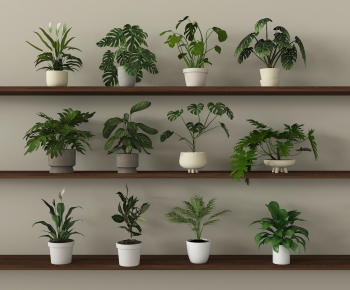 Modern Potted Green Plant-ID:199680337