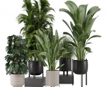 Modern Ground Green Plant Potted Plants-ID:409950974