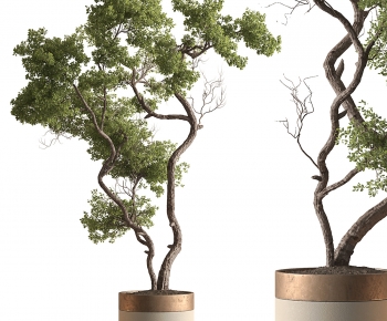 Modern Ground Green Plant Potted Plants-ID:927510027