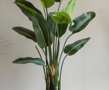 Modern Ground Green Plant Potted Plants-ID:306632049