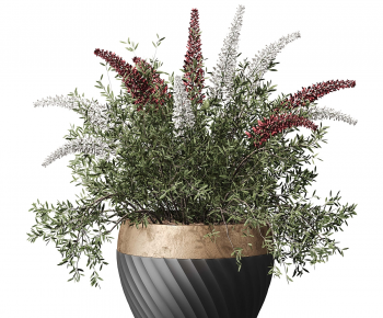 Modern Potted Green Plant-ID:930624962