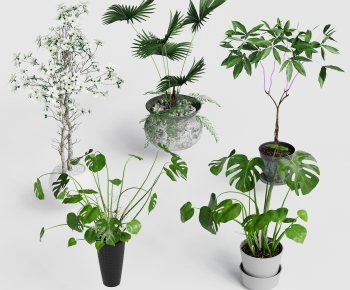 Modern Potted Green Plant-ID:320049057