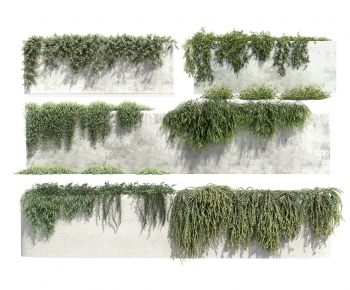 Modern Vine-ID:171576026