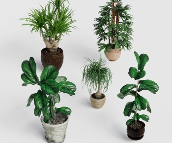 Modern Potted Green Plant-ID:463968041