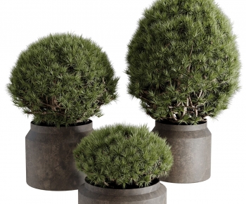 Modern Ground Green Plant Potted Plants-ID:589498046