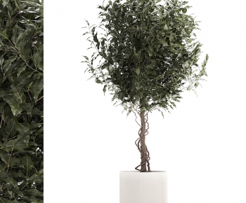 Modern Ground Green Plant Potted Plants-ID:915683037