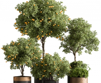 Modern Ground Green Plant Potted Plants-ID:327574019