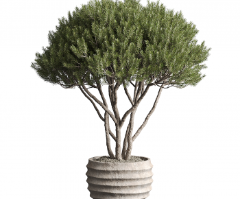 Modern Ground Green Plant Potted Plants-ID:833280093
