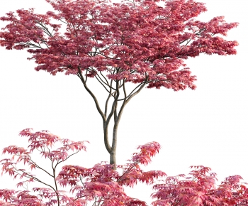 Modern Tree-ID:698409083