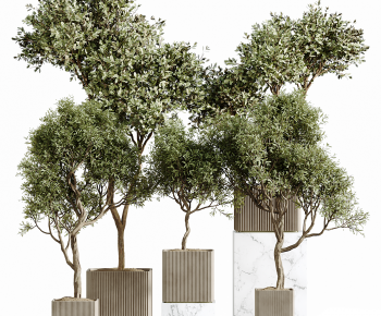 Modern Ground Green Plant Potted Plants-ID:468617923