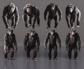 Modern Mammal-ID:581321953