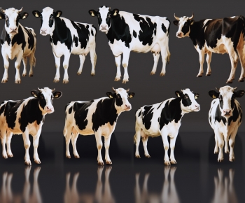 Modern Mammal-ID:520644905