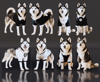 Modern Animal Dog-ID:313919077