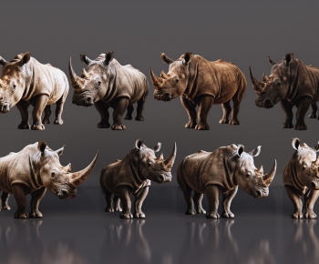 Modern Mammal-ID:481120113