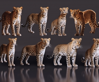 Modern Mammal-ID:833794129