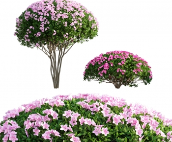 Modern Shrubbery-ID:149065022