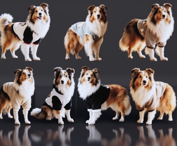 Modern Animal Dog-ID:530378104