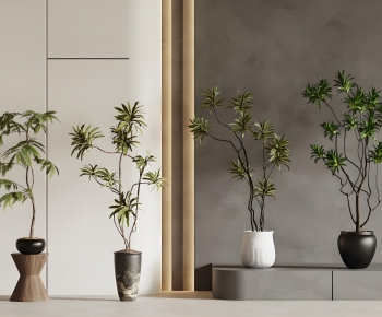 Modern Ground Green Plant Potted Plants-ID:453161002