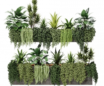 Modern Flower Bed, Flower Bowl, Flower Box-ID:372915038