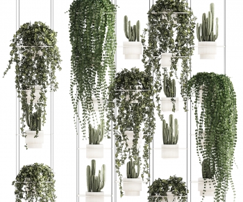 Modern Chlorophytum Comosum-ID:673531066