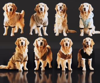 Modern Animal Dog-ID:641217951