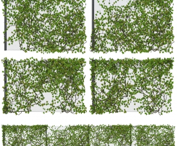 Modern Vine-ID:358244905