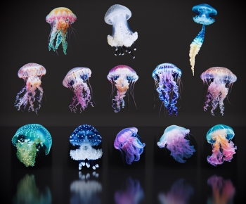 Modern Aquatic Animals-ID:705111088