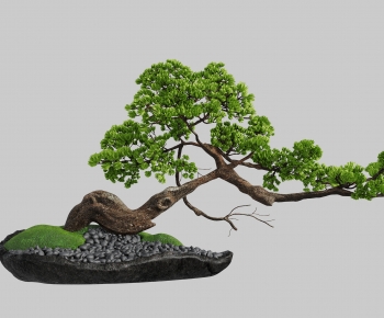 New Chinese Style Bonsai-ID:941142082