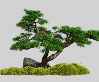 Chinese Style Tree-ID:346704015