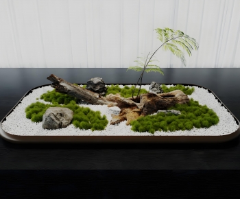 Modern Bonsai-ID:924911025