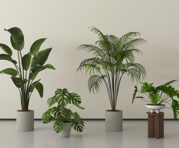 Modern Ground Green Plant Potted Plants-ID:227406022
