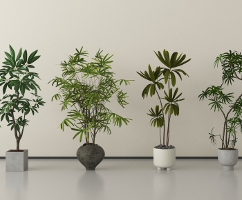 Modern Ground Green Plant Potted Plants-ID:715670115