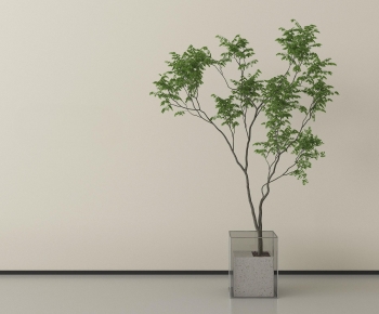 Modern Ground Green Plant Potted Plants-ID:281054973