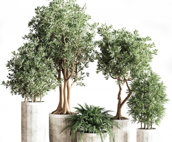 Modern Ground Green Plant Potted Plants-ID:380110032