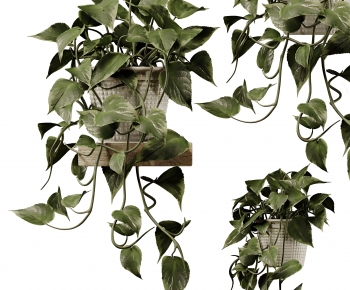 Modern Potted Green Plant-ID:191149721