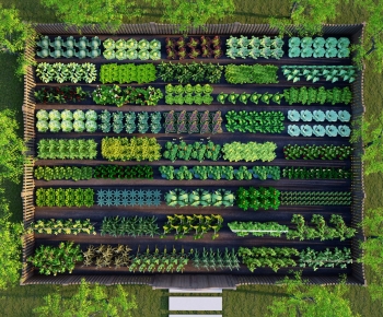 Modern Crop-ID:591664085